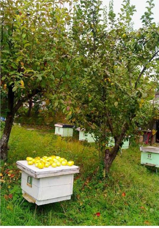 Farmer'S Guest House Telavi Luaran gambar