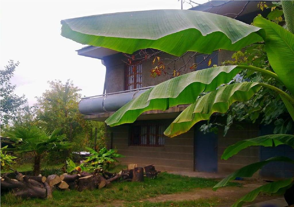 Farmer'S Guest House Telavi Luaran gambar